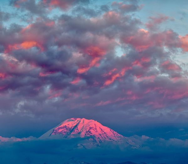 Jones, Adam 아티스트의 Mt Rainier at sunset-Washington State작품입니다.